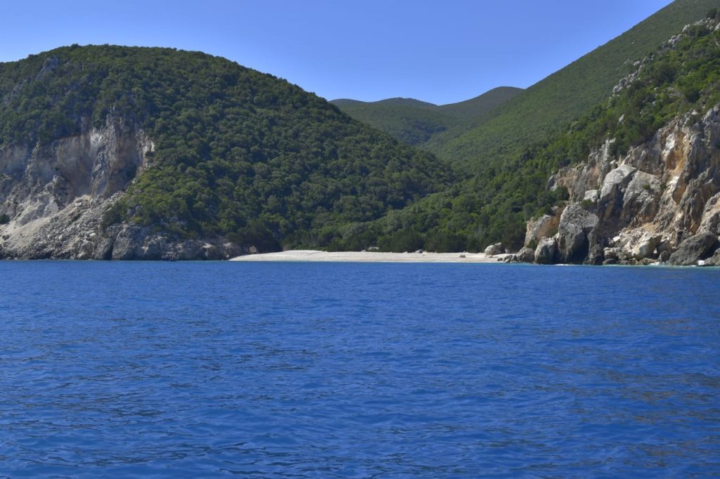 IMG-20250217-WA0012